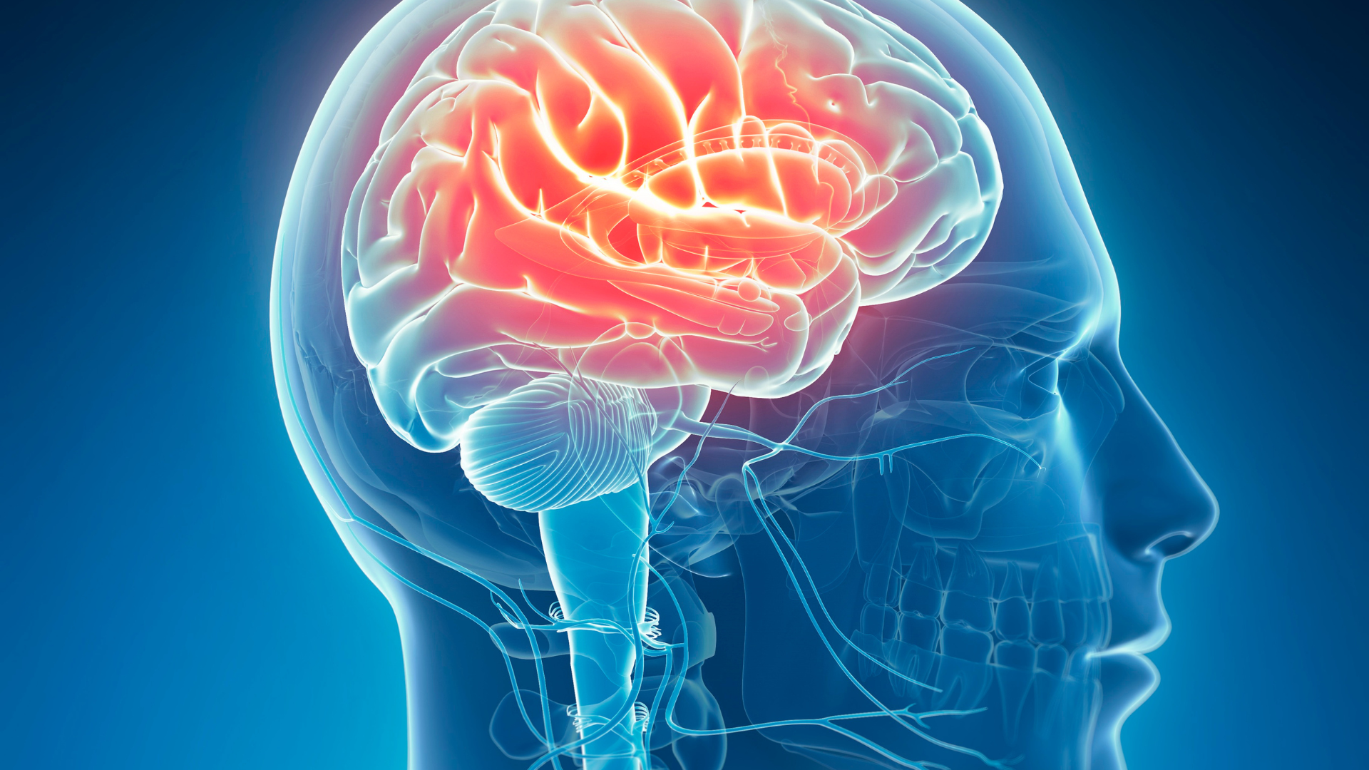 Neurologia + Centro Medico Futura